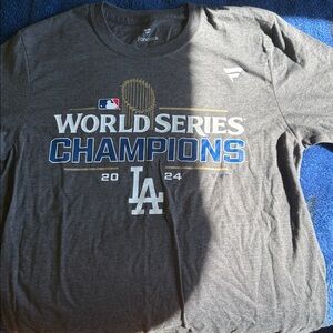 Men’s Fanatics Gray World Series Champions 2024 T-Shirt